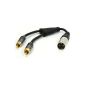 XLR adapter plug to 2 x RCA phono plug adapter cable connector cable 25 cm (Electronics)