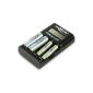 ANSMANN 1001-0011 Powerline 4 Light charger for AA / AAA rechargeable batteries with LCD display and USB port (Electronics)