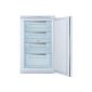 Bosch GID18A20 built-in freezer / A + / 97 L / White / Super-freezing / extra silent (Misc.)