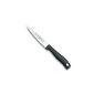 Wüsthof SILVERPOINT Paring Knife with serrated edge 10,0 cm (H.Nr. 4052) (household goods)