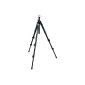 Manfrotto tripod 190XPROB Pro (2 extracts, capacity up to 5 kg, 146 cm height) black headless (Accessories)