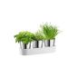 Auerhahn 24 3014 2517 Herbs @ Home Herb Garden Set 3-piece, herb scissors 4-piece, white (household goods)