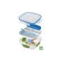 Household socket Salad to Go Lunchbox 1,5l with cold pack, cutlery and decorative blue (household goods)