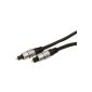 HQ HQSS4623 / 2.5 toslink cable 2.5m (Accessory)