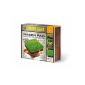 Compo 2532502004 seed lawn Pad (garden products)