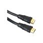 HDMI connection cable 10m gilded 1.3b certified (Accessories)