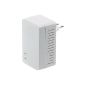 HUAWEI PT530A Powerline Adapter WLAN 500Mbit / s.  2x (Personal Computers)