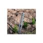 Ground anchor for Rosenbogen flowers help Obelisk and more!  (Garden products)