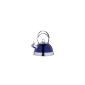 Kaiserhoff 2.7 liter stainless steel whistling kettle - KH-9477 to 2.6 L whistling kettle kettle - kettle - Induction - kettle blue (household goods)