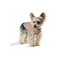 Stinky G Tan dog sweater with a blue border, Sleeveless design, easy to carry from # 12 - M (Misc.)