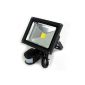 lux.pro® 10W LED SMD FLUTER + MOTION object illumination spotlights - light color white