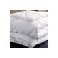 4 SEASONS Microfiber Comforter 240x260cm (available in 3 dimensions)