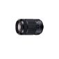 Sony SAL-55300 lens for APS-C camera (telephoto zoom lens, 55-300mm, F4,5-5,6, A-mount DT lens) (Camera)