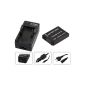 3in1 set for the Panasonic Lumix TZ61 / DMC-TZ61EG --- battery (950mAh) + 4in1 charger (including with USB / microUSB and vehicle / car) + telstar® Screen Protector (Electronics)