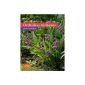 Hardy orchids for the garden (Paperback)