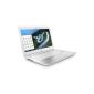 HP Chromebook 14-q030sg 35.6 cm (14 inch) notebook (Intel Celeron 2955U, 1.4GHz, 2GB RAM, 16GB HDD, Chrome) white (Personal Computers)