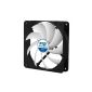ARCTIC AFACO-120P2-GBA01 Cooling Fan White (Personal Computers)
