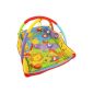 Baby crawling blanket blanket nest 2 in 1 with play arch zoo animals (Baby Product)