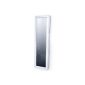 Jewelry cabinet mirror cabinet mirror wall (choice of colors) black or white (jewelry)
