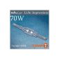Discharge lamp HQI-TS 70 watt D PowerStar excellence RX7s - Osram (Housewares)