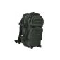 Backpack US Assault Pack Small Olive (equipment)