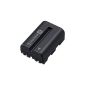 Sony NPFM500H.CE Info Lithium-Ion battery for M-Series Camera (Accessories)