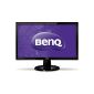 BenQ GL2450 61 cm (24 inch) LED monitor (DVI-D, VGA, 5ms response time) black (Personal Computers)