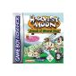 Harvest Moon - Friends of Mineral Town (Video Game)