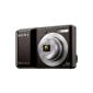 Sony DSC-S2000B Cybershot digital camera (10 megapixel, 3x optical zoom, 6.2 cm (2.5 inch) display) (Electronics)