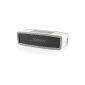 iProtect protective box cover for Bose SoundLink Mini, SoundLink Mini Bluetooth Speaker Speaker ll softcover Case in transparent and gray (Electronics)
