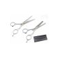 SODIAL (TM.) Professional hair scissors set thinning scissors Thinning hairdressing scissors micro serration Set (Health and Beauty)