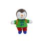 T'Choupi - 022,067 - Toys First Age - Bean Bag - Dress Schoolboy - 18 cm (Toy)