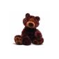 Gund - Large teddy bear Philbin - 45.50 cm - Chocolate (Toy)