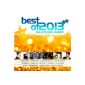 Best of 2013 - The Hits of the Year (Audio CD)