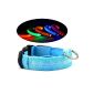 Topteam Pet Dog LED Night Safety Collar Flashing LED Flash Band adjustable size (blue M)