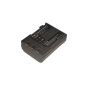 Replacement Battery for Canon NB-2L NB-2LH (Electronics)