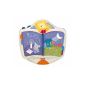 Fisher-Price Night-Interactive Book (Baby Care)