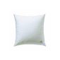 Billerbeck 5453900004 down pillows Gold Edition, 080/080 cm white (household goods)