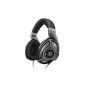 Sennheiser HD 700 dynamic stereo headphones (105dB SPL, 6,3mm jack plug, 3m) titanium (Electronics)