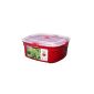 Sistema Big steaming container for the microwave, 3,2 l (household goods)
