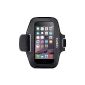 Belkin armband case F8W500BTC00 SportFit washable black and gray neoprene for iPhone 6 (Wireless Phone Accessory)