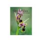 Book Wild Orchids of our regions