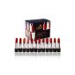 Shany Cosmetics - Set of 12 Lipsticks Slick and Shine - famous Colors (Health and Beauty)
