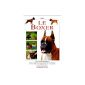 The Boxer (Hardcover)