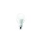 8718696414620 Philips LED Bulb Standard Frosted E27 15W (Kitchen)