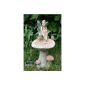 Fairy sitting a.Pilz 'Welcome'mit solar light for the garden