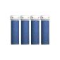 4 x sanding rolls Micro Minerals Extra Rough Blue Replacement for Express Pedi Scholl (Health and Beauty)