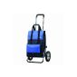 Shopping Trolley Royal vector with oversized tires and thermal compartment (household goods)