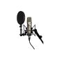 Rode NT-1A large-diaphragm condenser microphone with gold sputtered and shock mounted 2.5 cm (1 inch) renal capsule (Electronics)