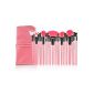 XCSOURCE® makeup brush kit 24PCS Professional Eyebrow Shadow Blush Makeup Brushes Kit Anti-identifies With Kit MT75 (Electronics)